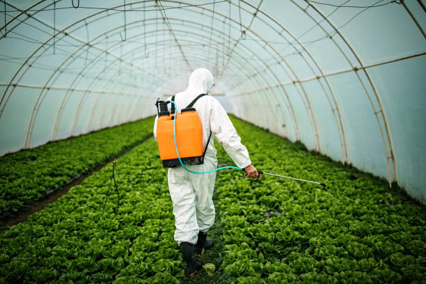 Best Pest Inspection Near Me  in Lyman, SC